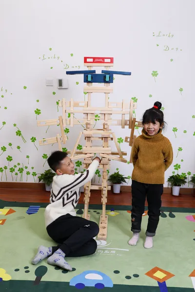 Interlocking puzzle blocks with sophisticated mechanisms