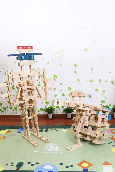 Ancient Chinese carpentry heritage educational blocks