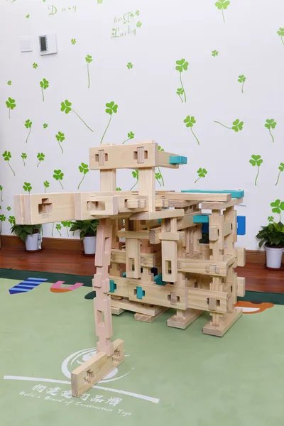 Problem-solving and construction skills development