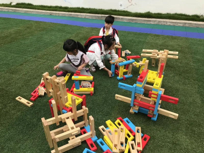 Premium New Zealand pine construction with vibrant colors