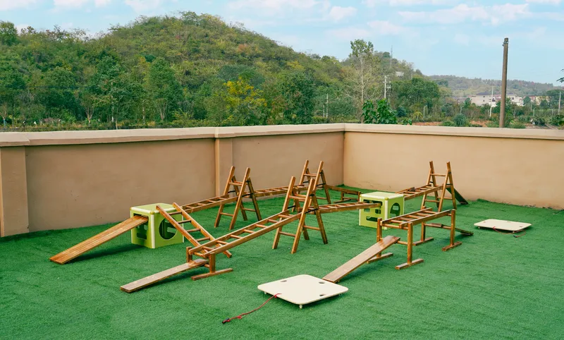 Carbonized New Zealand pine construction with fragrant ironwood climbing boxes