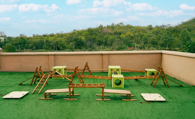 Avocado storage bin with organized sports equipment components