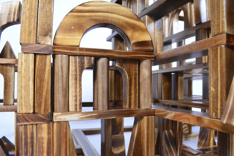 Comprehensive carbonized wood building blocks with extensive geometric variety