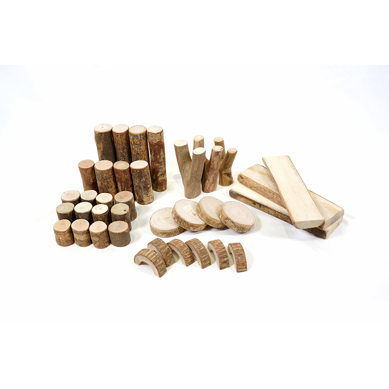 Educational play scenarios with branch-inspired blocks