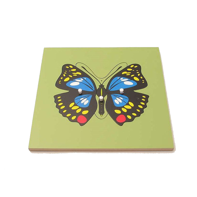 Butterfly Puzzle - Educational anatomy learning