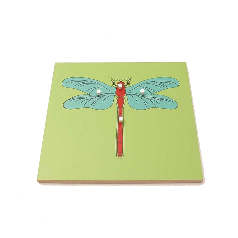 Dragonfly Puzzle - Individual insect parts identification