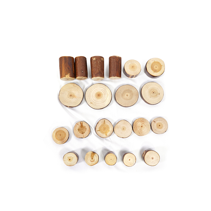 Educational fairy tale storytelling and building activities