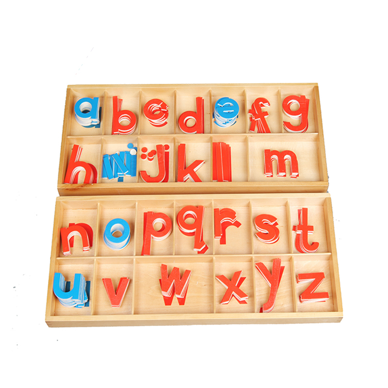 Large Movable Alphabet Box - Comprehensive movable alphabet system for word building
