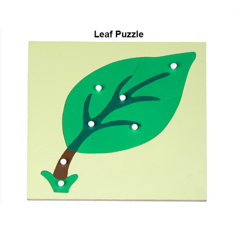 Leaf Puzzle - Montessori educational material for botanical learning