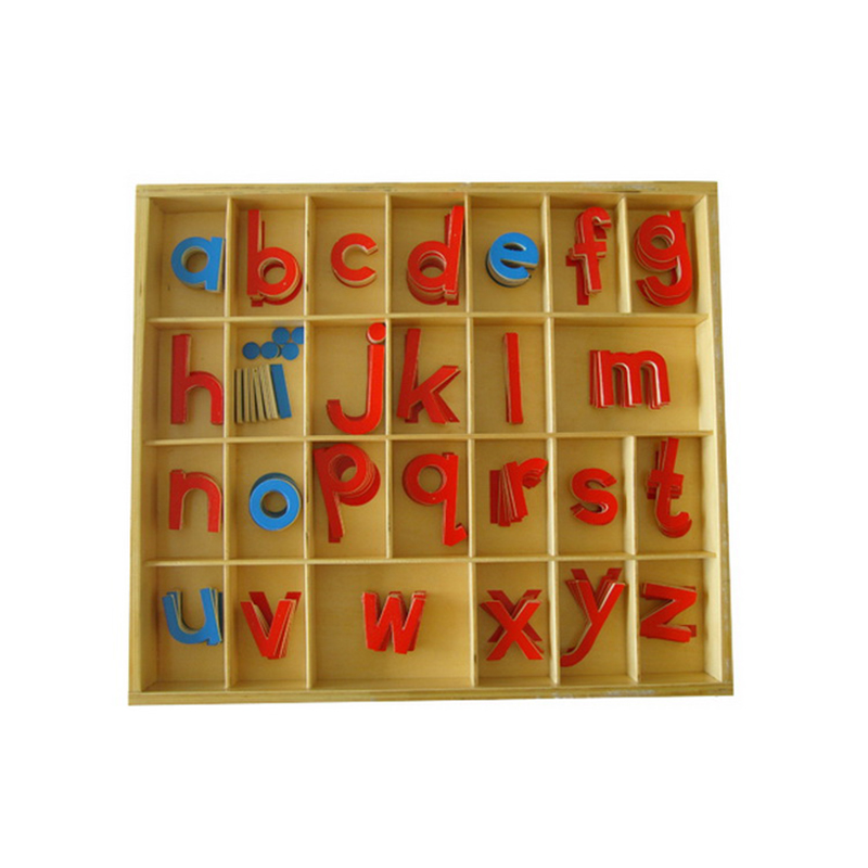 Small Movable Alphabet - Wooden alphabet learning material for children