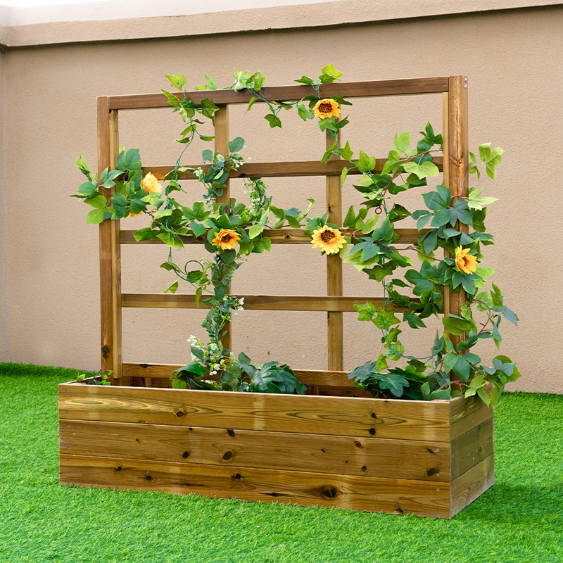 Vine support structure with climbing guides