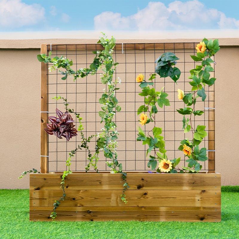 Vine planting rack Model B - Antiseptic wood educational vine support system