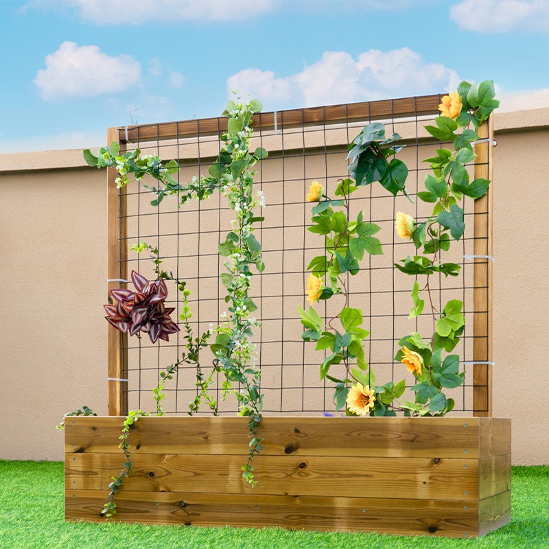 Specialized design for climbing plant support