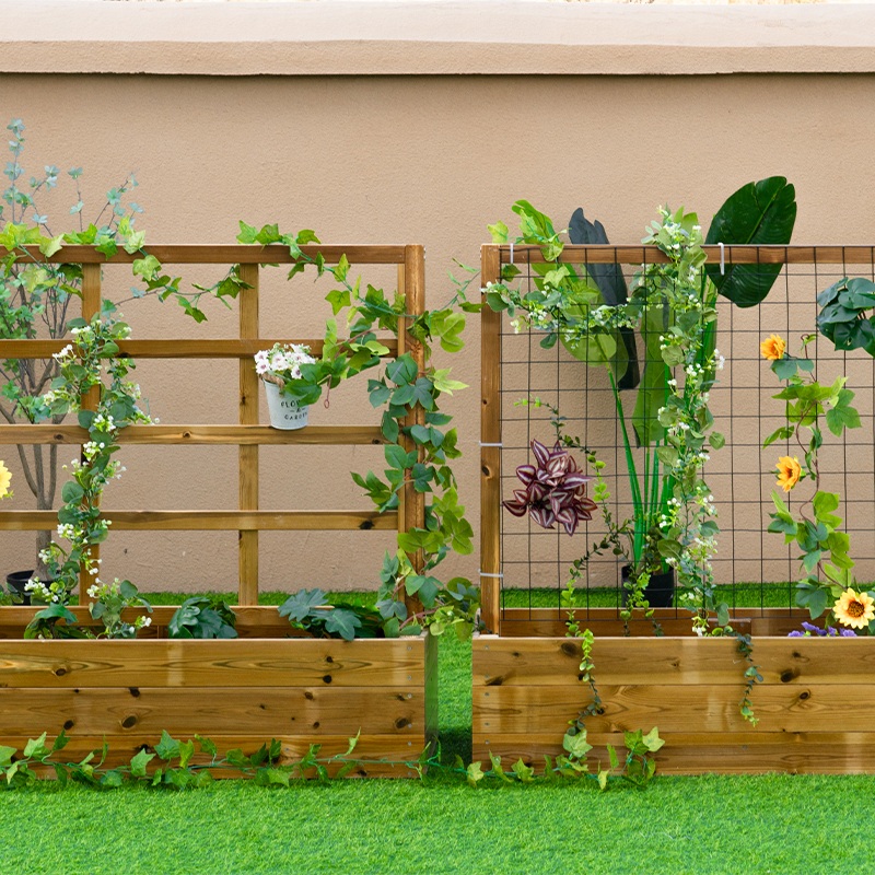 Educational vine gardening and plant growth observation