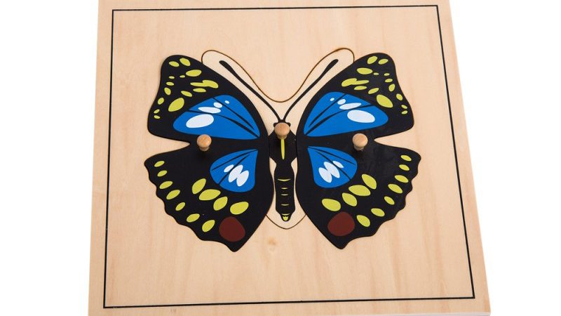 Wooden insect figures set