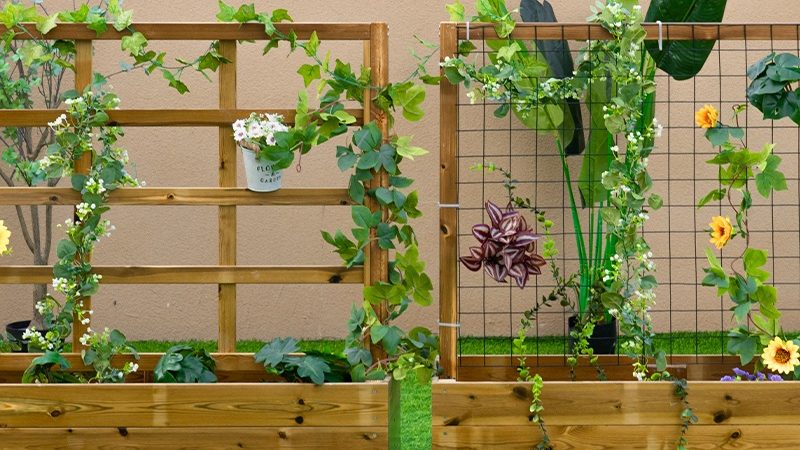 Pre-school garden planting theme activities