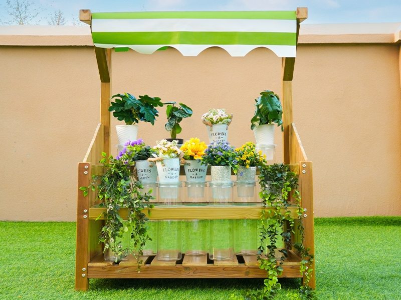 Plant Activities: The Ultimate Guide to Plant Activities for Early Education 3 plant activities for elementary students water transport experiment