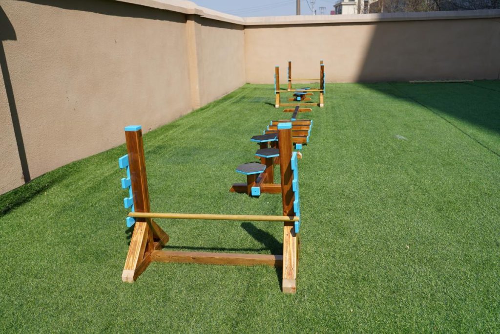 Outdoor 10Pcs Wooden Balance Beam Playset