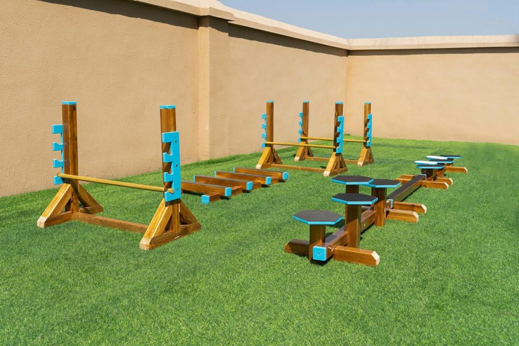 Outdoor 10Pcs Wooden Balance Beam Playset