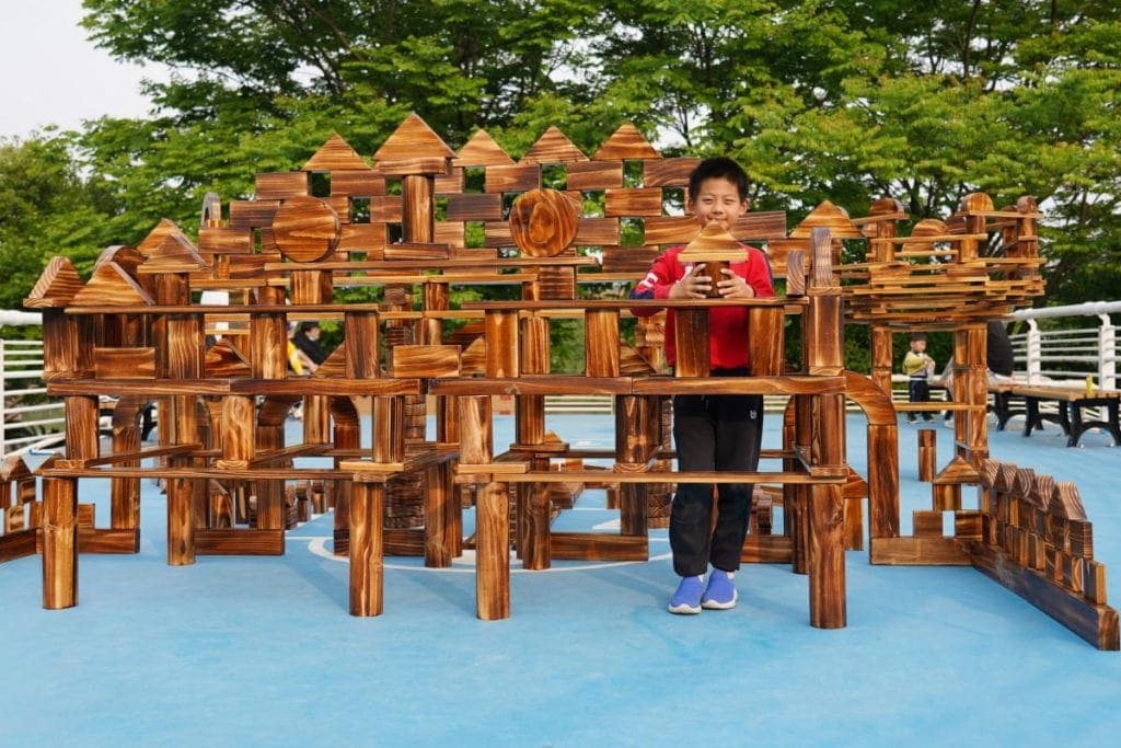 Carbonized Wooden Building Blocks: 656pcs Anji Exploration Set