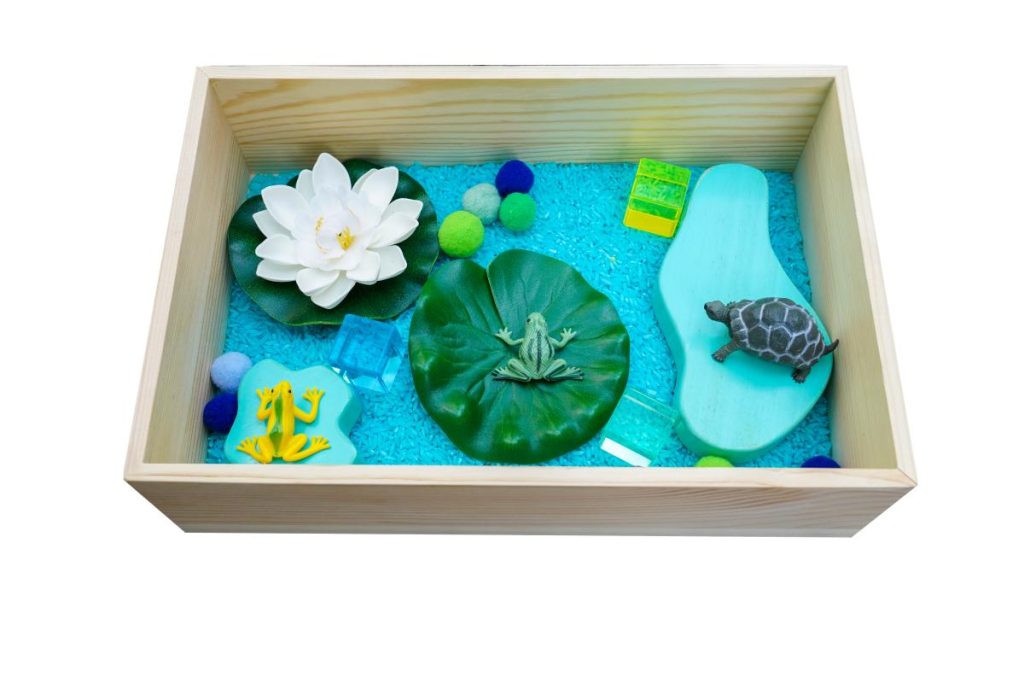 Lotus Pond Sensory Box