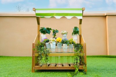 outdoor root view planter for kids with hydroponic plant observation containers in a school garden