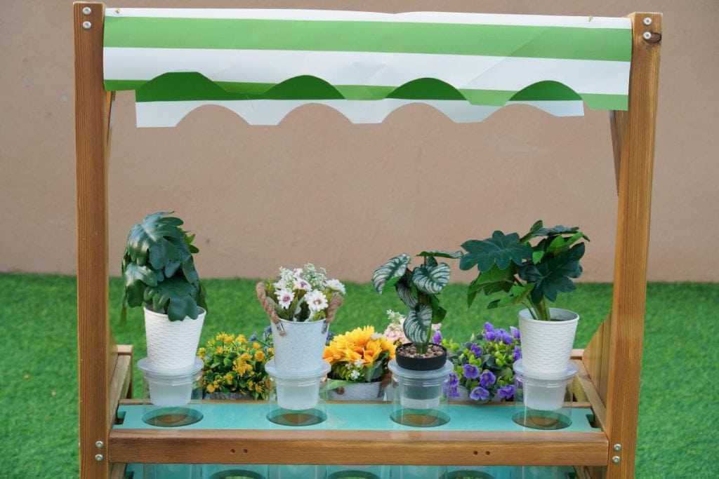 Outdoor Root View Planter for Kids