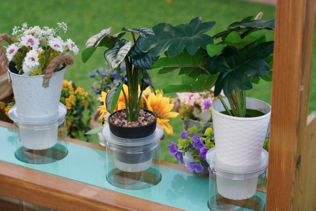 Outdoor Root View Planter for Kids