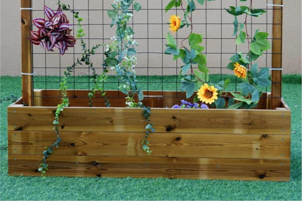 Outdoor Trellis Planter Box for Kids