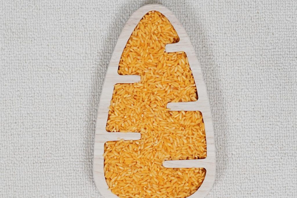 Small World Sensory Play Tray-Carrot