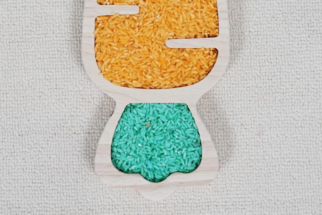 Small World Sensory Play Tray-Carrot